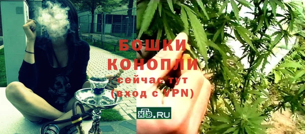 шишки Пересвет