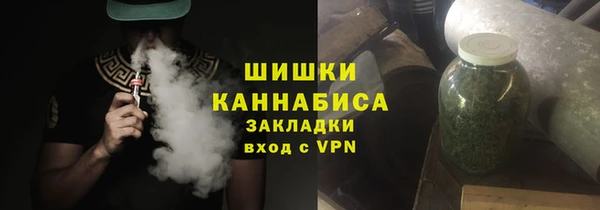 шишки Пересвет