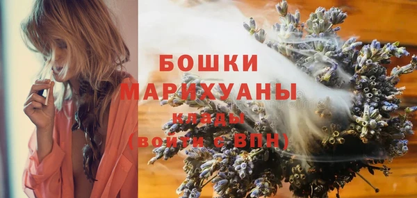 spice Пестово