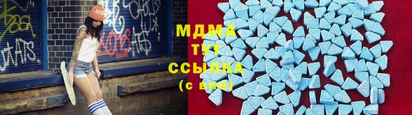 шишки Пересвет