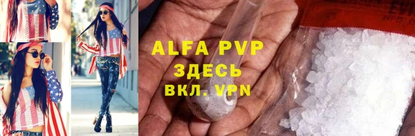 шишки Пересвет