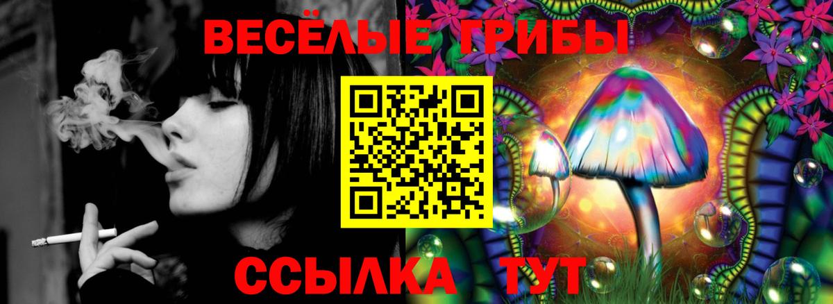 Галлюциногенные грибы прущие грибы  Вход с VPN  Курчатов 